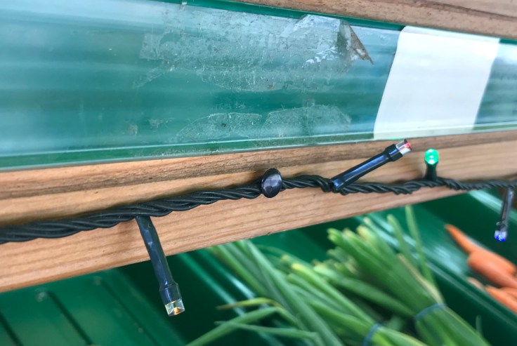 Fairy Lights - no elastic